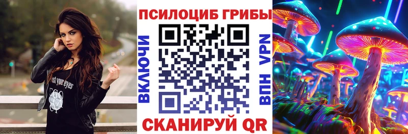 Галлюциногенные грибы Cubensis  даркнет сайт  Печора 